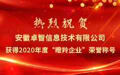 熱烈祝賀安徽卓智信息技術有限（xiàn）公司獲得2020年度“瞪（dèng）羚企業”榮（róng）譽稱號